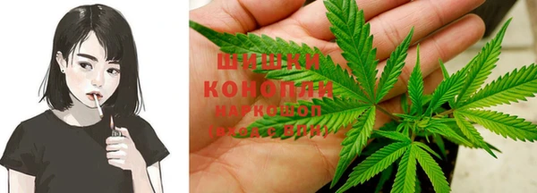 дурь Сатка