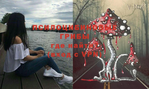 дмт Саяногорск