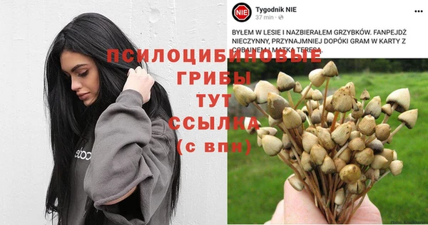 прущий лед Сафоново