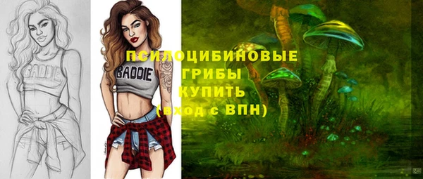 дурь Сатка
