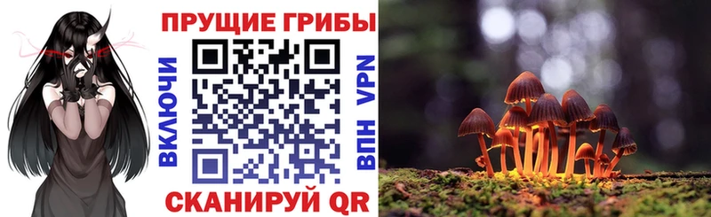 Галлюциногенные грибы Magic Shrooms  гидра маркетплейс  Велиж  закладка 